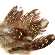 5pcs RARE 9-11cm Natural Pheasant Tragopan Real Feathers DIY Craft Jewellery
