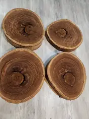 walnut Live Edge wood slice, table top, centerpiece-10x12x2