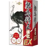 元氣堂 鴕鳥精王EX膠囊 30顆/盒