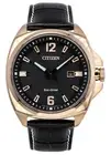 Citizen Eco-Drive Black Dial 100M Men's Watch AW1723-02E