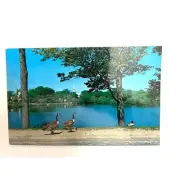 Cape Cod Massachusetts Postcard Lake Landscape Geese By Dick Smith P157