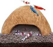 SunGrow Coconut Aquarium Shrimp Cave, Small Fish Tank Aquarium Decorations Accessories, Comfortable Shelter and Breeding Area for Crustaceans, Fish Hideout Aquarium Décor for Spawning (1 Piece)