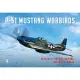 P-51 Mustang Warbirds