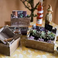 在飛比找樂天市場購物網優惠-掬涵 不規則原木盒子 花盆花器花盒工具盒 雜貨花園裝飾園藝