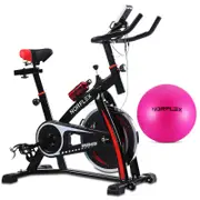 Norflex Spin Bike Exercise Ball Flywheel Fitness Commercial Home Workout Gym