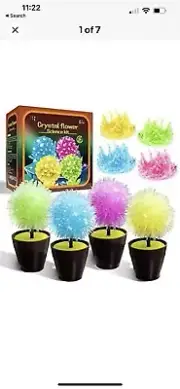 Science Kits for Kids, Crystal Growing Kit-Crystals Grow Fast 4 Crystal