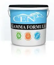 CEN Gamma 2L