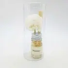 Small Aroma Oil MOSSHINO Diffusers Rattan Reed Fresh all Time with Natural