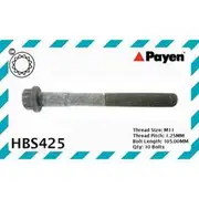 Payen Cylinder Head Bolt Set - HBS425