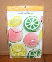 Lemon or Lime Slice and Circle Fruit Shaped Soap Mold Soap Making M10