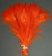 25 Pcs BLEACHED PEACOCK TAILS - ORANGE Feathers 10-12"; Halloween/Costume/Craft