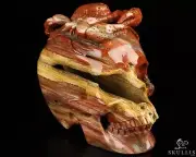 5.1" Colorful Petrified Wood Hand Carved Crystal Skull and Scorpion