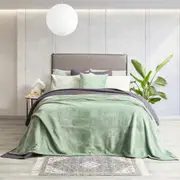 Renee Taylor Plush 380 GSM Ultra Soft Velvet Blanket - EUCALYPTUS