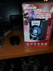 Ridgeway BS-401 8" Portable Rechargeable Bluetooth Speaker with USB/TF/AUX/FM
