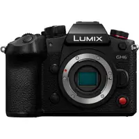 在飛比找PChome24h購物優惠-Panasonic LUMIX GH6 BODY 單機身 公