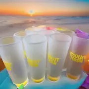Absolut Citron Frosted Shot Glass Set Of 10 New. Free Ship USA