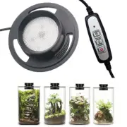 Dimmable USB Terrarium Plant Growing Lamp with Timer for Vases Succulent moss