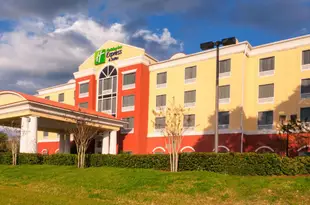 坦帕展覽會場賭場智選假日套房酒店Holiday Inn Express Hotel & Suites Tampa-Fairgrounds-Casino