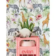 Exotic Giraffe Zebra Jungle removable Wallpaper wildlife mural Self Adhesive