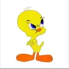YELLOW CANARY BIRD Personalized Embroidered 3 Piece Bath Towel Gift Set