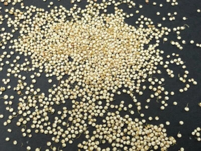 Royal Sprouted Organic Quinoa (4 lbs, 2-2lb bags)