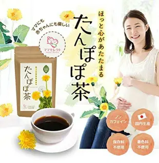 【蒲公英茶 2g×30包入】空運 日本製 綠茶 煎茶 抹茶 茶包 飲品 下午茶 開會 茶飲【小福部屋】