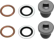 2 Set Oil Drain Plug Screw 1218114 11128-00QAA 7703075210 Compatible with Citroen Compatible with Peugeot Copper Gasket Rubber Oil Seal Metal Oil Drain Plug Oil Pan Drain Thread M16 x 1.5mm