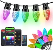 Strawberry C9 Christmas Lights, 100LED 66FT(20M)Each, DIY APP&Remote, Expandable