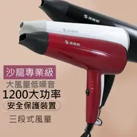 在飛比找PChome24h購物優惠-達新牌1200W沙龍級專業吹風機 TS-2300