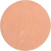 CHILDWEET Food Storage Containers Softener Disc Food Storage Container Saver Keeper Disc Softener Container Clay
