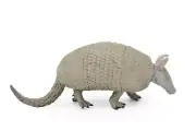 Armadillo Toy, Realistic Rubber Model, Hand Painted, Figure, Animal 6" CH041 BB7