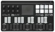 Korg nanoKey Mobile Midi Keyboard.