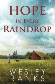 HOPE IN EVERY RAINDROP (KYLE WALKER - BOOK 2) By Wesley Banks **BRAND NEW**