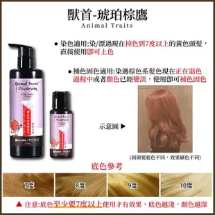 【MPB 巴黎小姐】獸首護色補色套組 補色乳60ml 3入+護色洗髮精(12色任選 長效漂染髮護色乳 彩染防褪色)