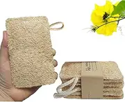 HONSVA Natural Loofah Kitchen Sponge (6 Pcs) No Scratch Brush for Dishwashing, 100% Plant Fibers Vegetable Scrubber, Zero Waste and Eco Friendly Loofa, Rectangular, Large