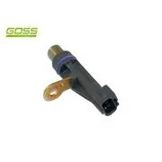 RAE Crankshaft Position Sensor - SC148