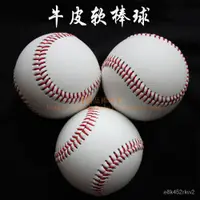 在飛比找蝦皮購物優惠-台灣發貨-日式棒球套-棒球服-棒球手套-兒童成人裝-【精品棒