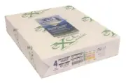 Excel One (16607) Carbonless Paper, 8.5 x 11, 4-Part Forward - 1 Ream (125 Sets)
