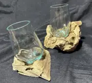 Hand Blown Molten Glass Terrarium Jar On Natural Driftwood Base - set of 20