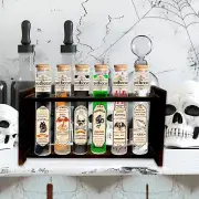 Halloween Potion BottlesHalloween Decorations IndoorHalloween Witch Apothecar...