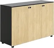 File Cabinet Low Cabinet Conference Room Pantry Office Office Cabinet File Cabinet with Lock Office Drawer