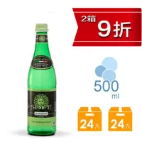 在飛比找PChome24h購物優惠-Sole L’ITALIANA 索蕾經典款氣泡礦泉水 500