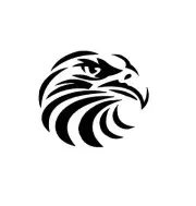 Eagle Decal for Yeti, RTIC, Phone, Laptop, Tumblers, Cars, Mailbox,Travel mug