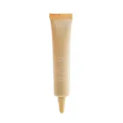 Clarins Everlasting Concealer - # 01 Light 12ml/0.4oz