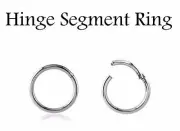 18G Hinged Seamless Segment Clickers Ring Steel Nose Hoop Earrings Conch Tragus