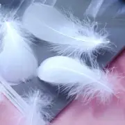 100Pcs White Natural Goose Feathers, 3-5Inch Centerpieces Feahers Bulk Colorful