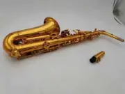 Axophone Alto E Sax Instrument High Quality with Case All Accessories -