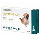 Revolution for Dogs 20.1-40kg - Teal 6 Pack