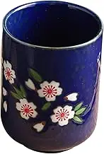 OFFSCH Hand Painted Glaze Tea Cup Japanese Style Ceramic Teacup Set for Tea House for Relaxing Moments