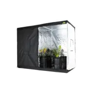 Jungle Room Original Tent - 2.2M x 1.2M x 2M